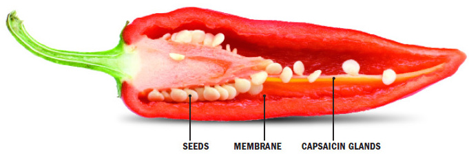 It’s science, look it up! Take off the seeds, membrane, and capsaicin glands for a flavorful, non-spicy dish. 