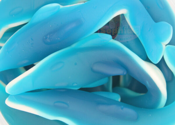 Blue Shark Gummies